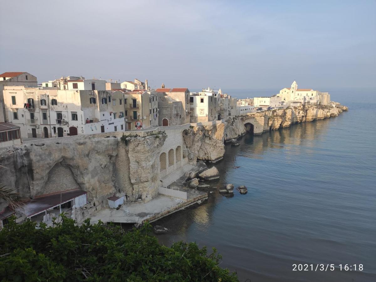 Villette Fabrizio, 2025 A Vieste Exteriér fotografie